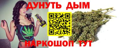 jwh Шебекино