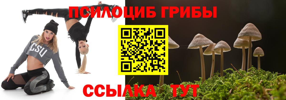 Учалы  Галлюциногенные грибы GOLDEN TEACHER  Вход с VPN 